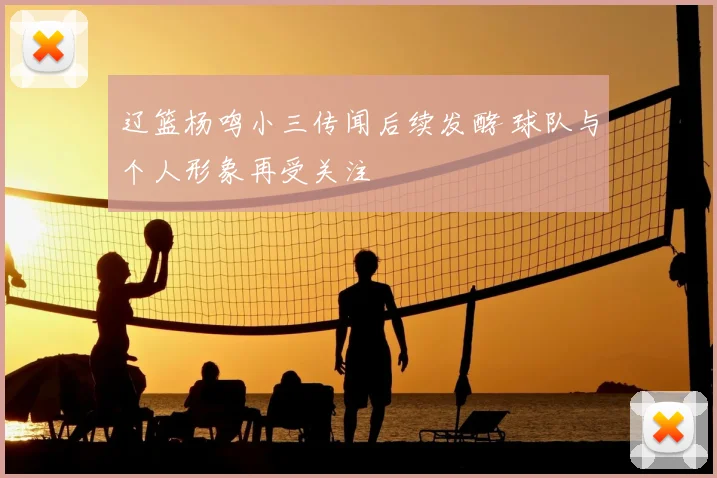 辽篮杨鸣小三传闻后续发酵 球队与个人形象再受关注