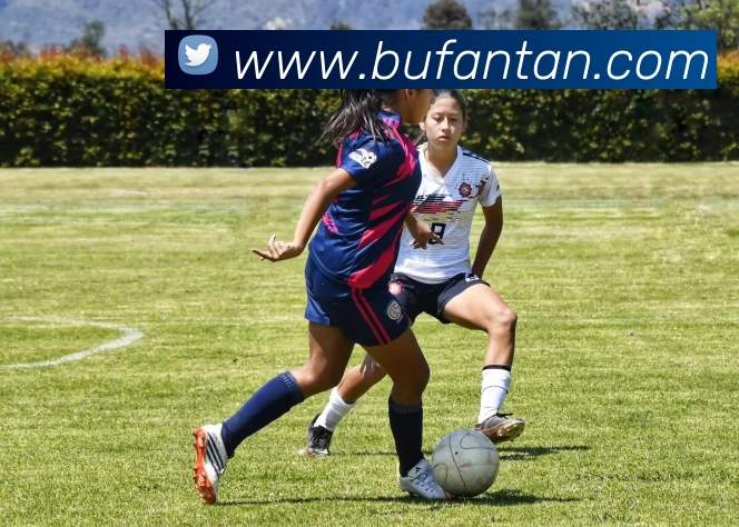 QY - 千亿(球友会)官方网站APP 体育赛事宣传图